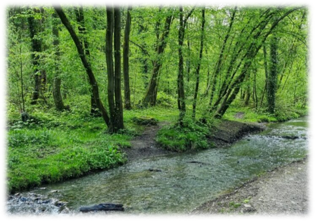 Le Centre de Délassement a aussi sa balade TOTEMUS !